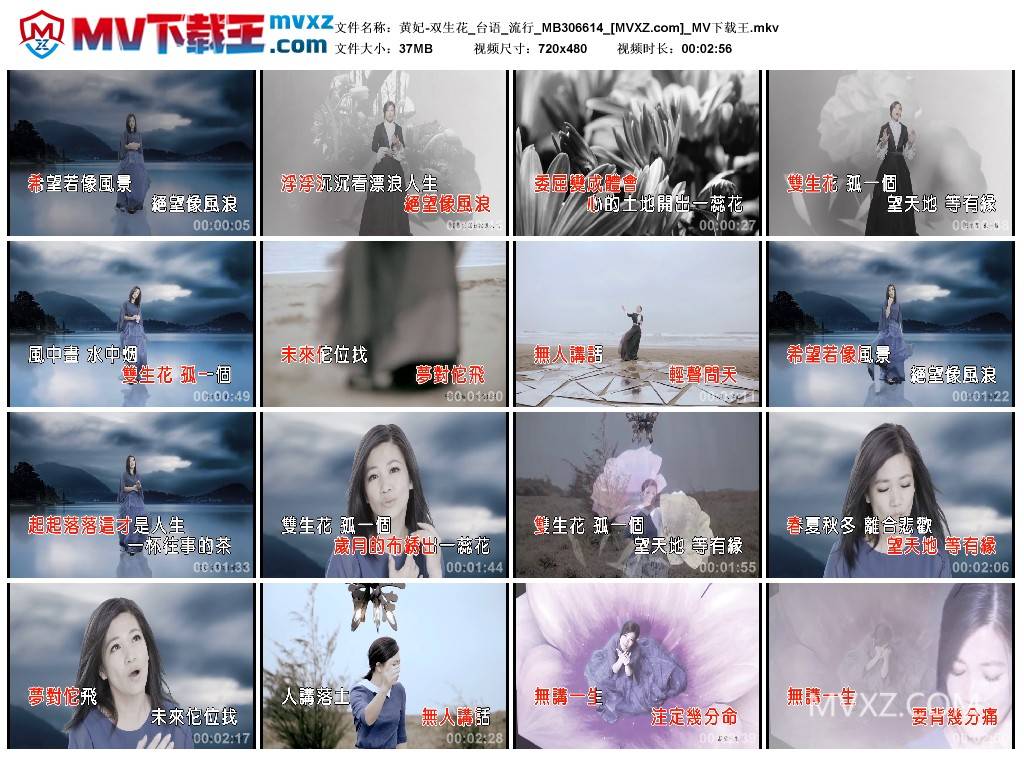黄妃-双生花_台语_流行_MB306614